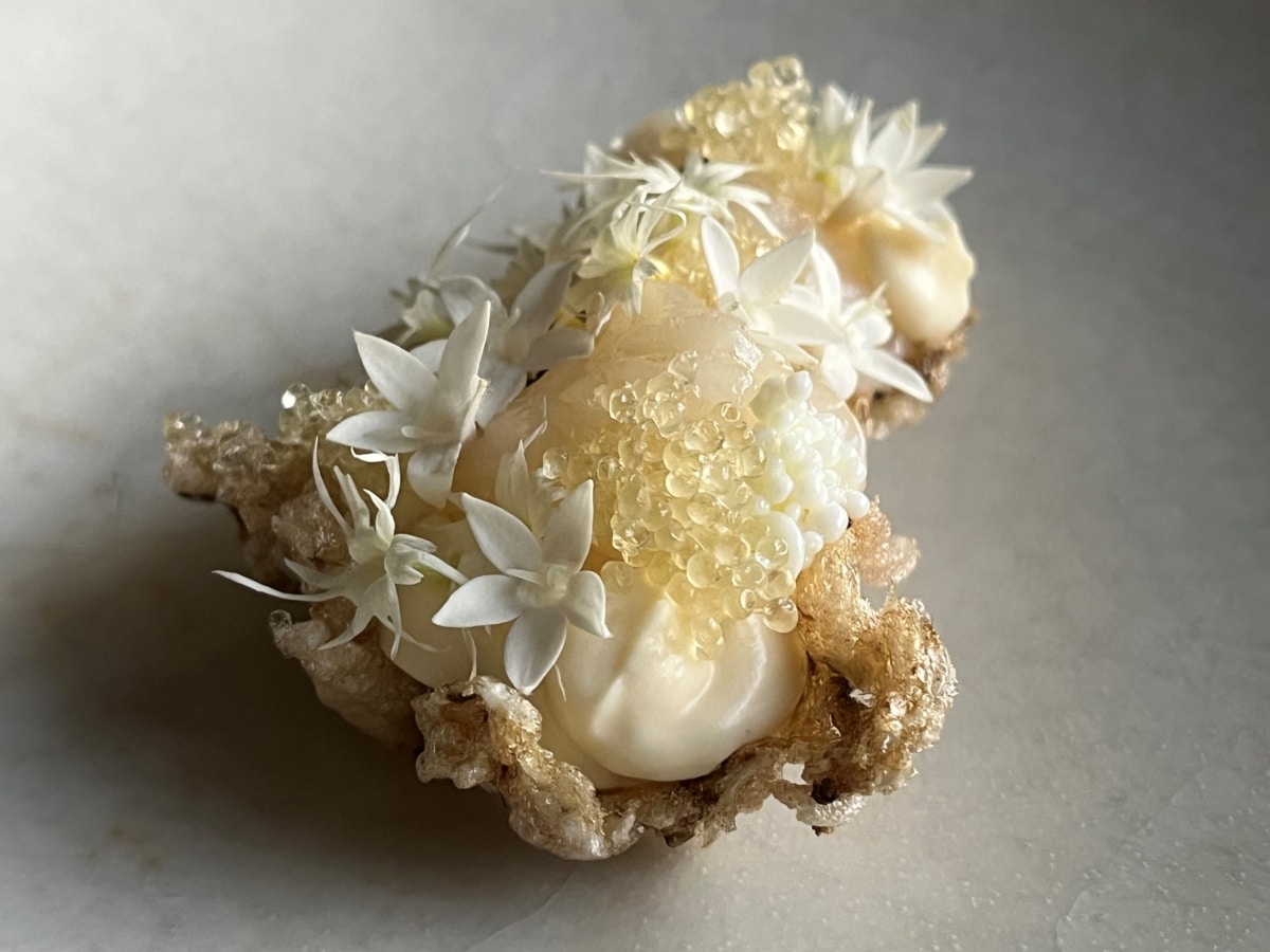 Peter gilmore vcp sashimi of sea scallops katsuobushi cream