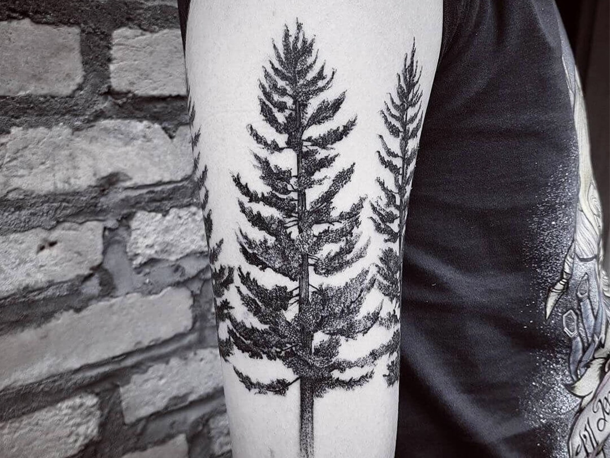 Close up of man’s arm with pine tree design tattoo sleeve