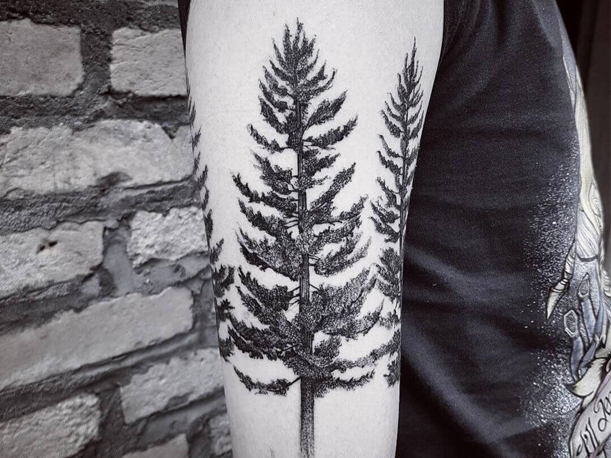 Amazing Pine Tree Tattoo Design Ideas For Women And Men - YouTube