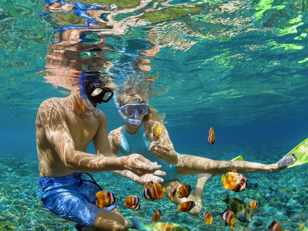 Couple snorkelling an and feeding fish underwater