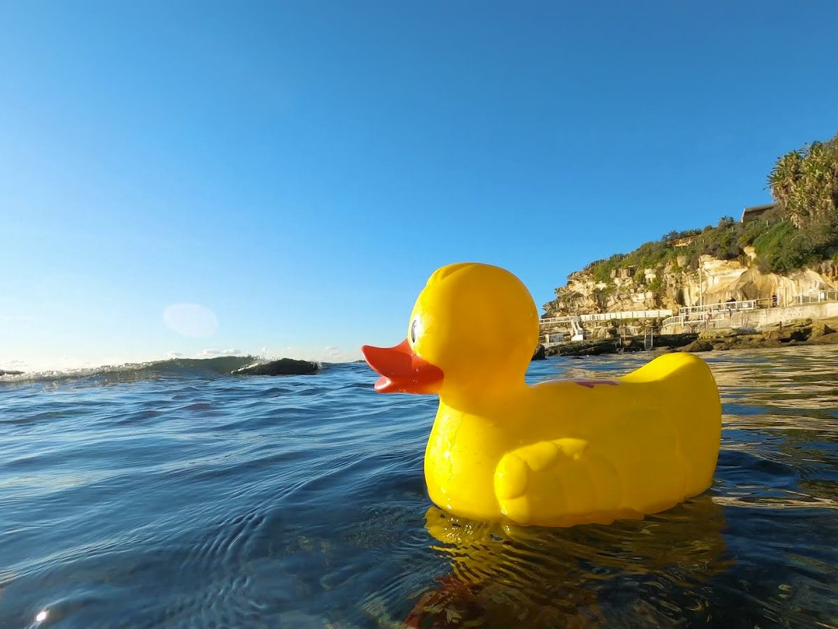 Close up of yellow rubber duck floating on a lake