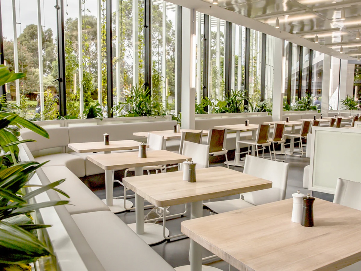 Interior of Industry Beans cafe with white and wood colour scheme showing tables, chairs, decorative plants and wide glass windows