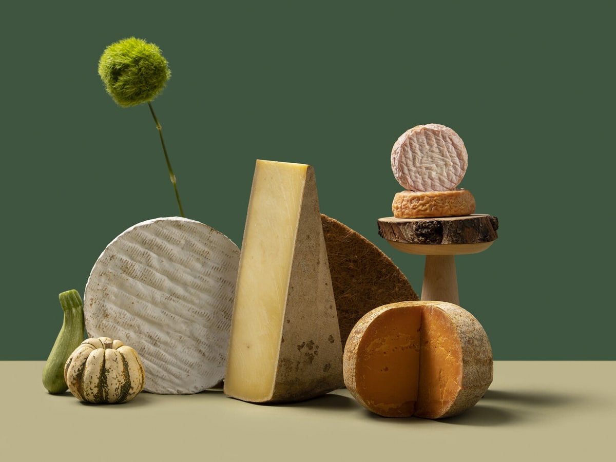 Different kinds of cheese with green background