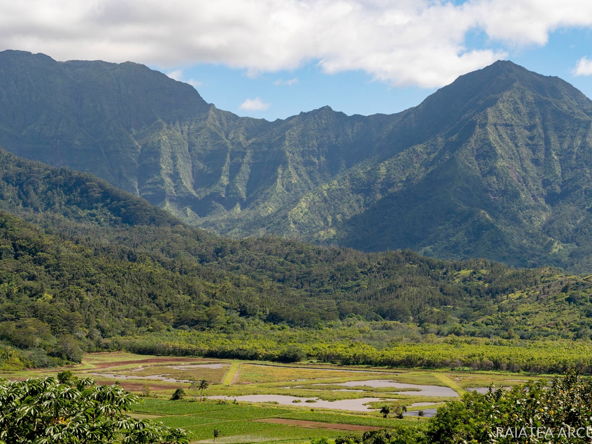 Mark Zuckerberg is Building a $400 Million Doomsday Compound in Hawaii ...