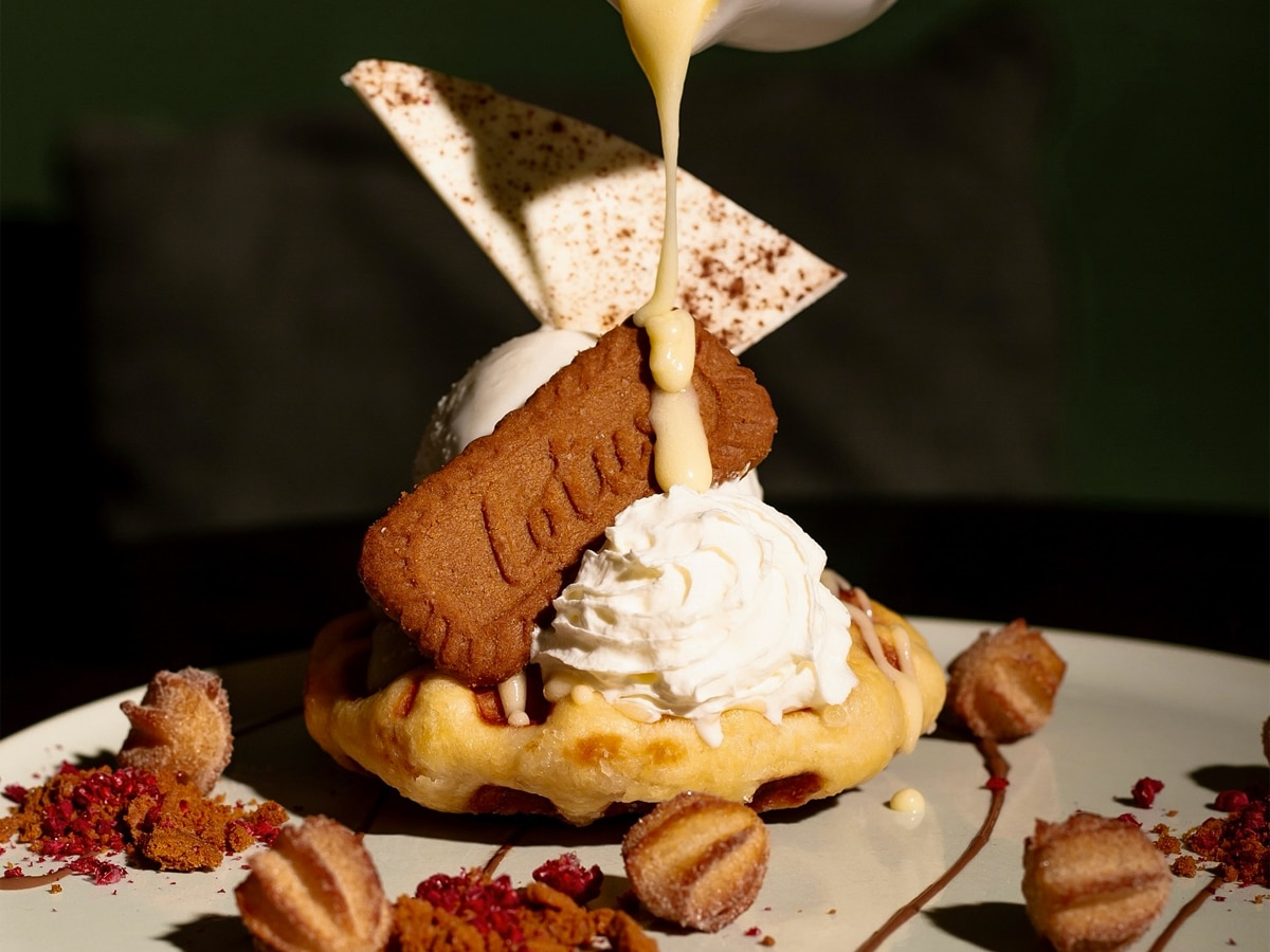 St Louis House of Fine Ice Cream and Desserts Loaded Biscoff gelato