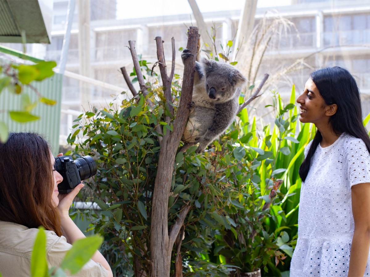 Two woman taking a picture of a koala