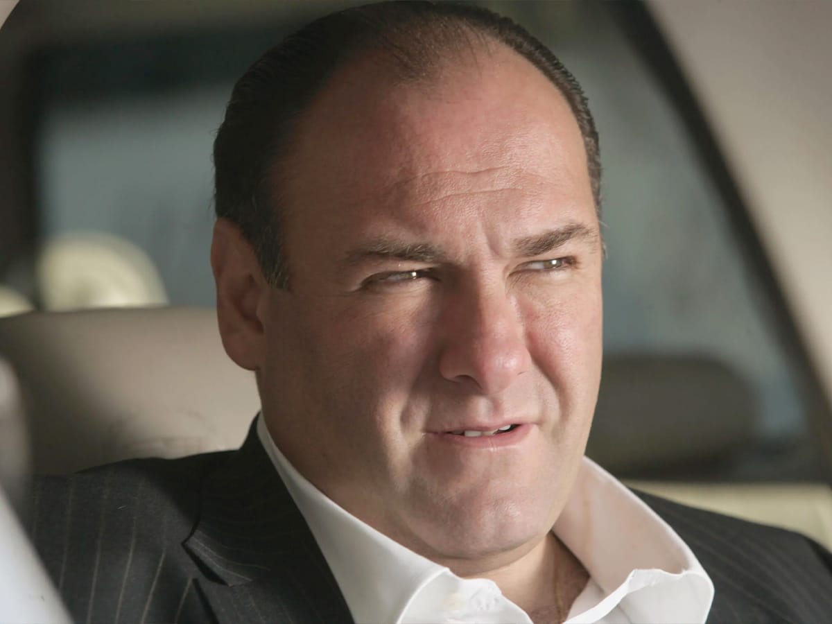 'The Sopranos' TikTok Episodes Leave Fans Choking on Their Gabagool