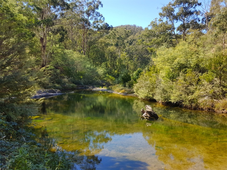 9 Best Free Camping Spots Near Melbourne You Need to Visit | Man of Many