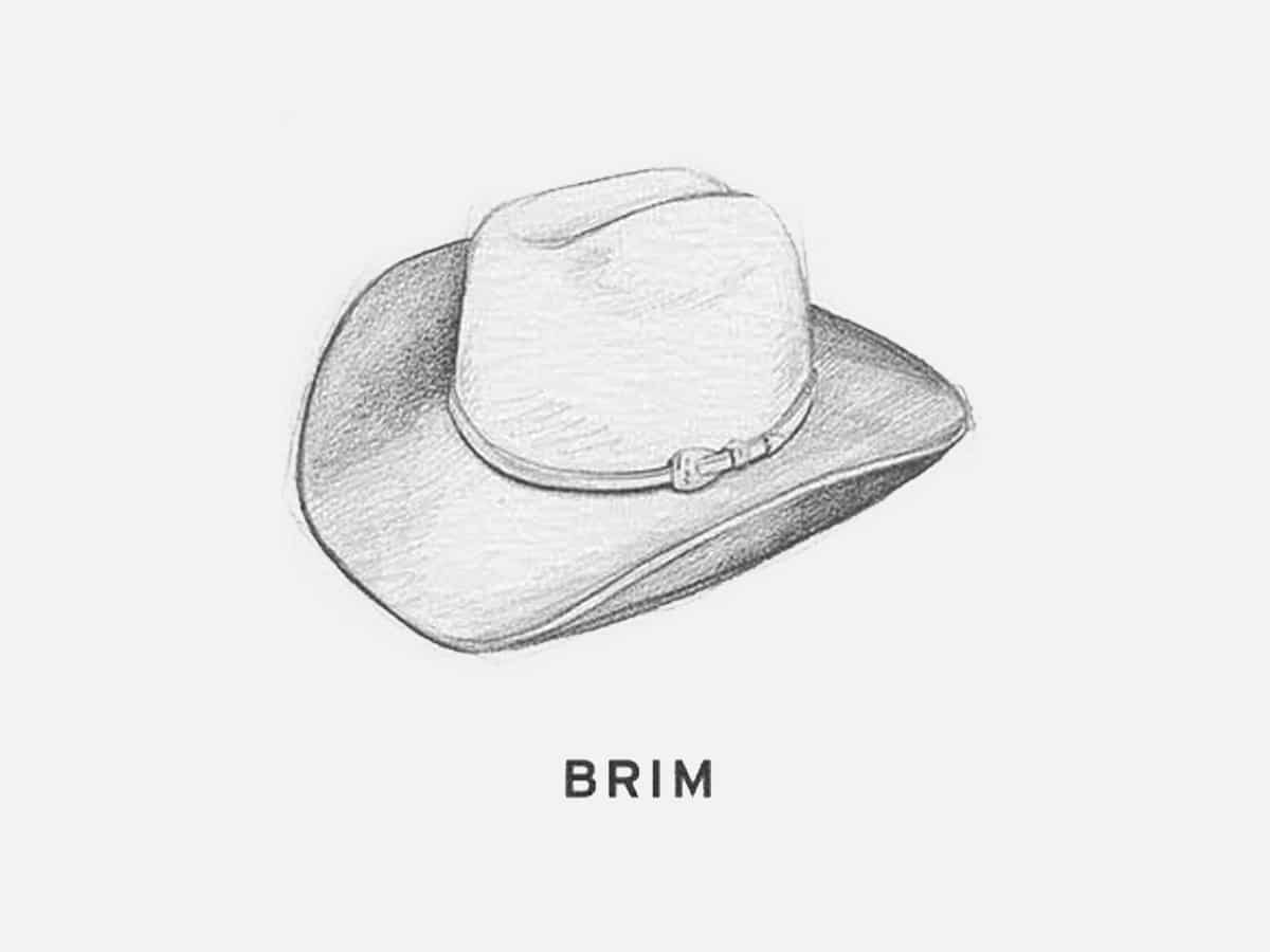 Brim of a hat illustration