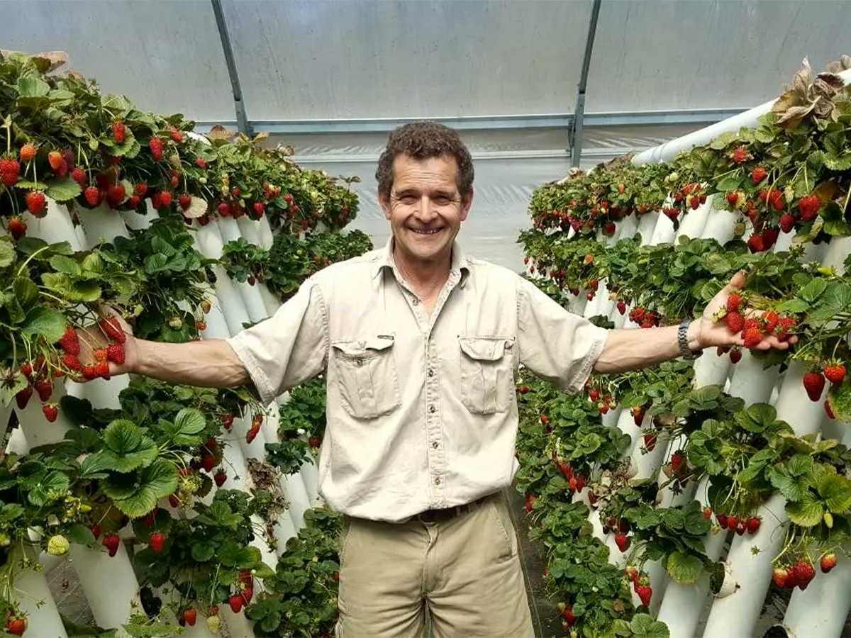 Man with outstretched arms holding strawberries