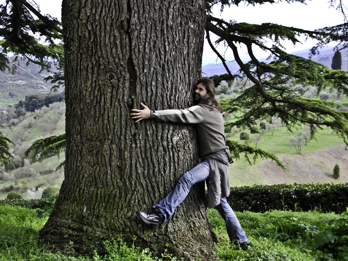A man hugging a tree trunk