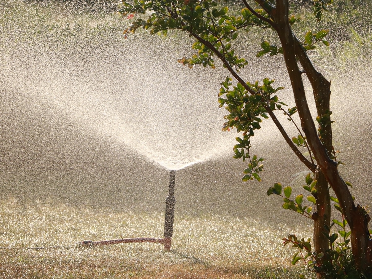 Garden sprinkler spraying water