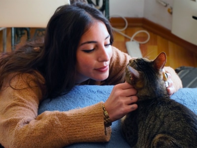 3 Best Cat Cafes in Melbourne