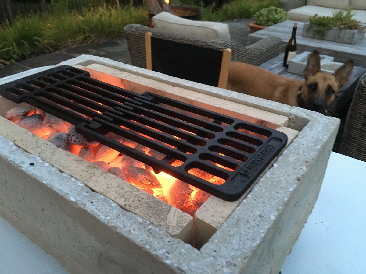 dog looking at a hibachi grill