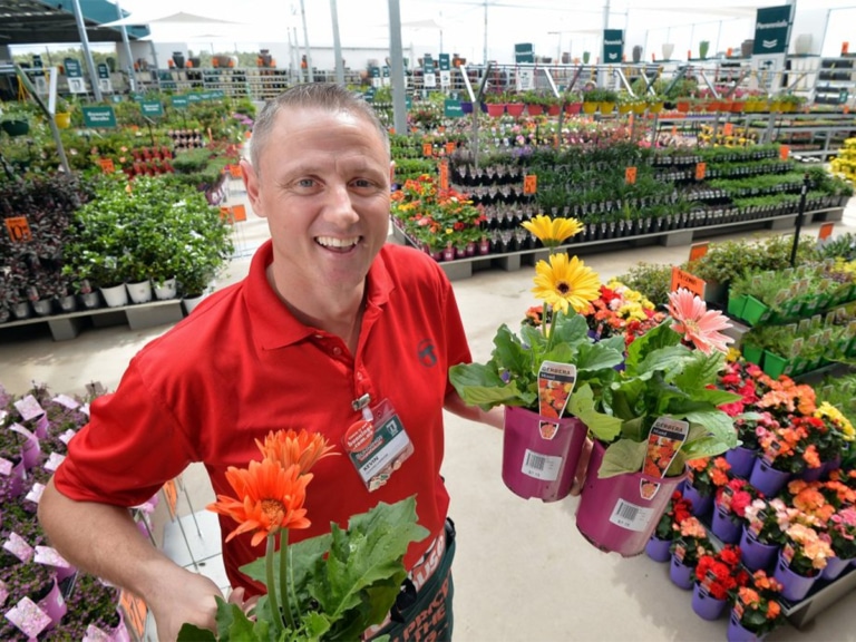 Bunnings Plant Guarantee and Return Policy Man of Many