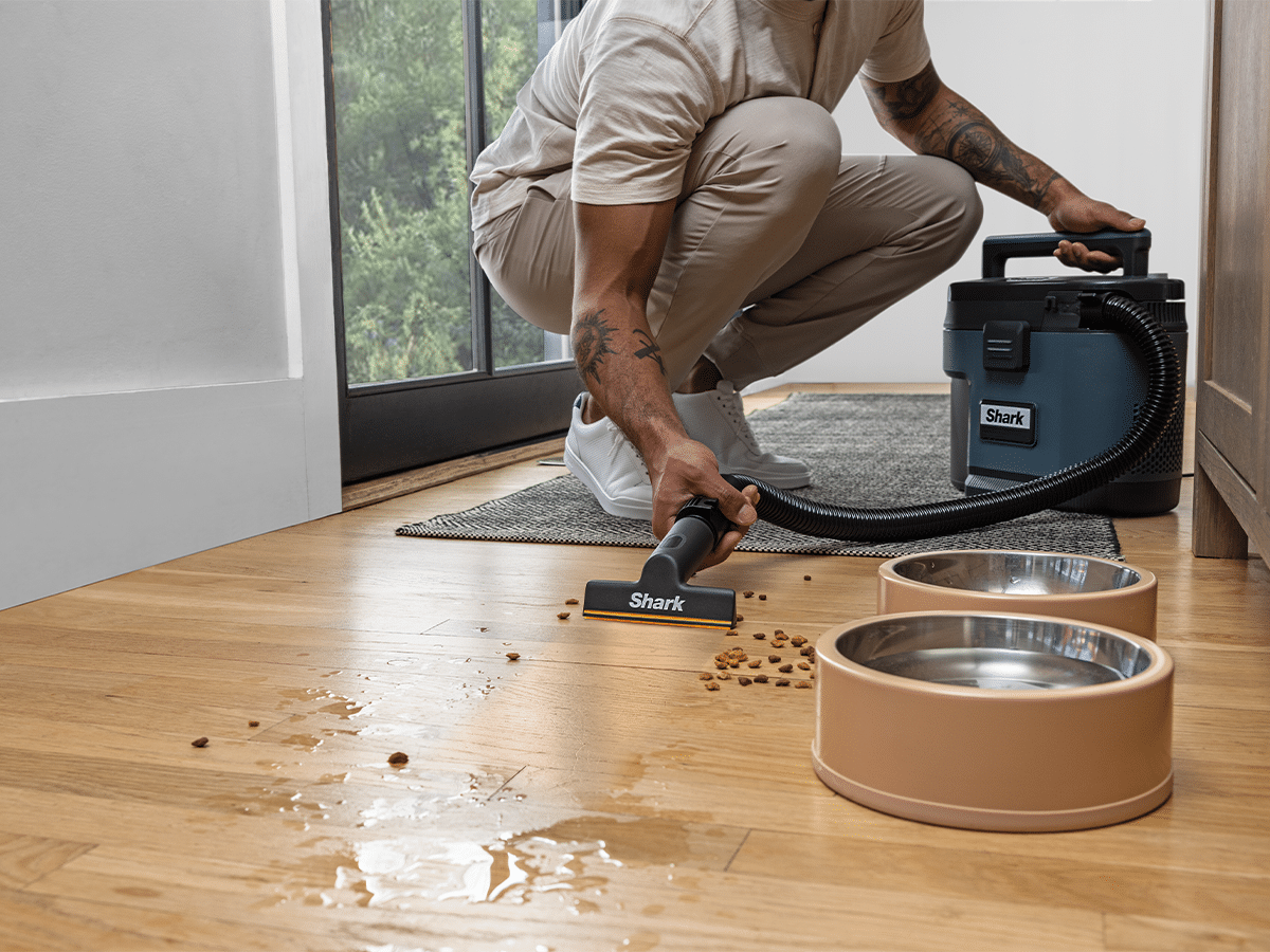 Shark MessMaster Portable Wet/Dry Vacuum | Image: Supplied