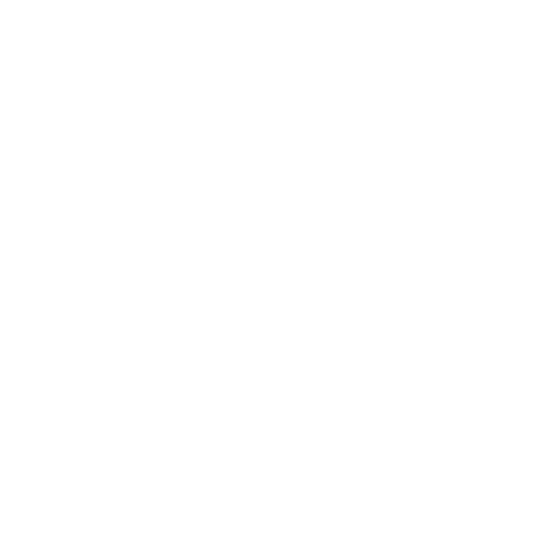 Apple 1