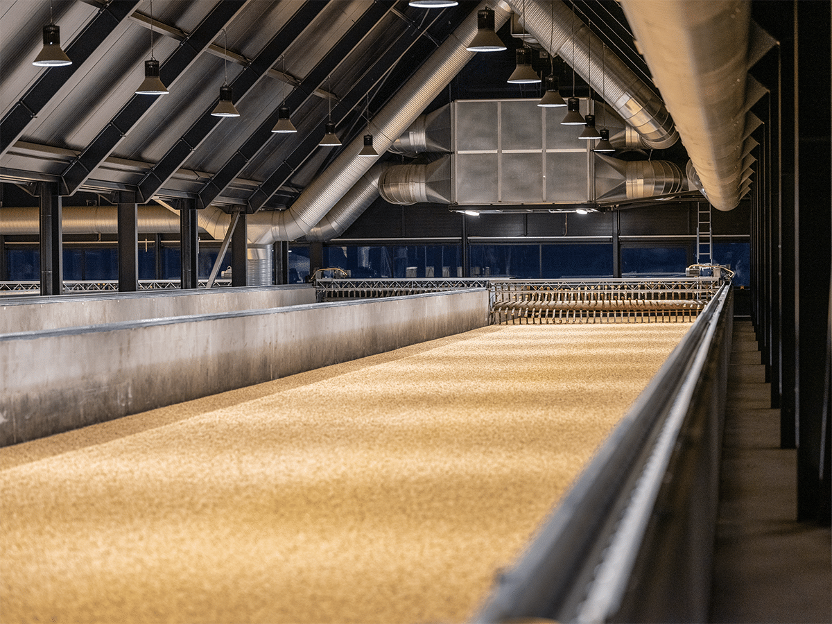 Stauning Floor Malt