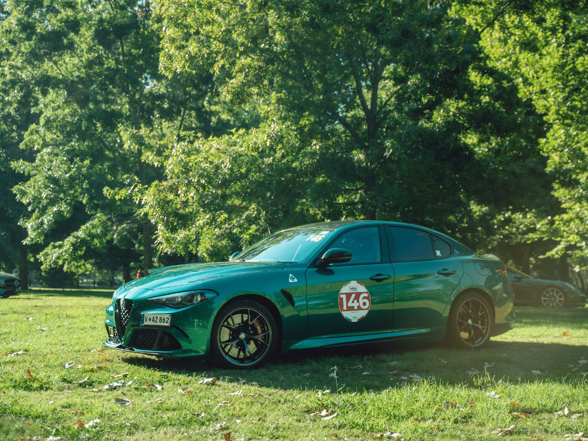 Alfa 1