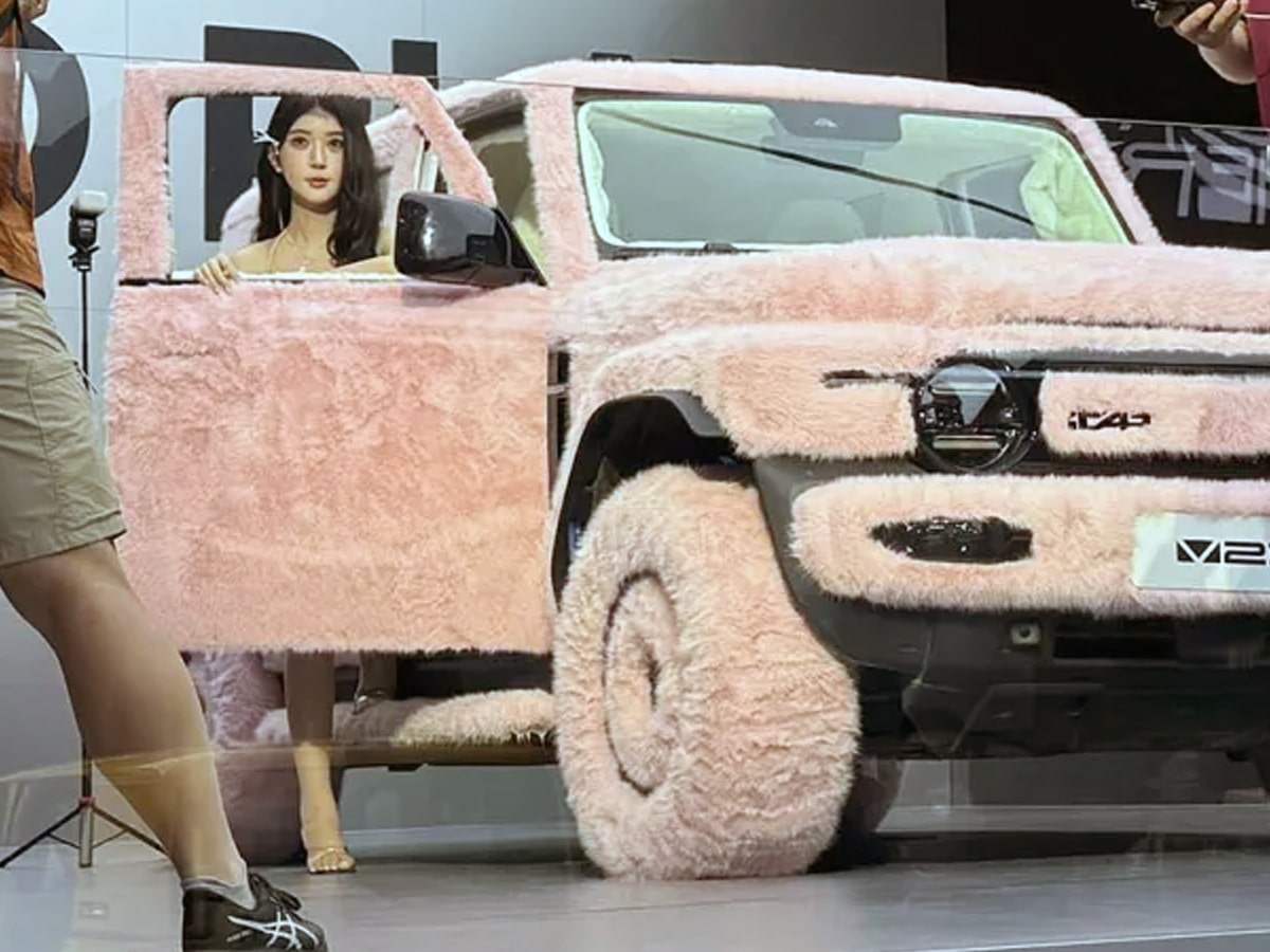 Icar v23 fluffy