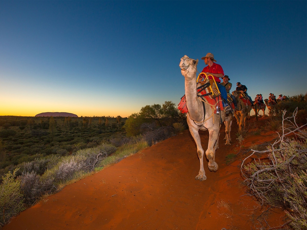 Sensory Tourism Australia Partners with Operator Cocky Guides | Image: Sensory Tourism Australia