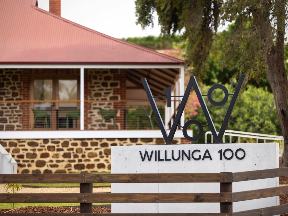 Willunga 100 Vineyard in Mclaren Vale | Image: Willunga 100