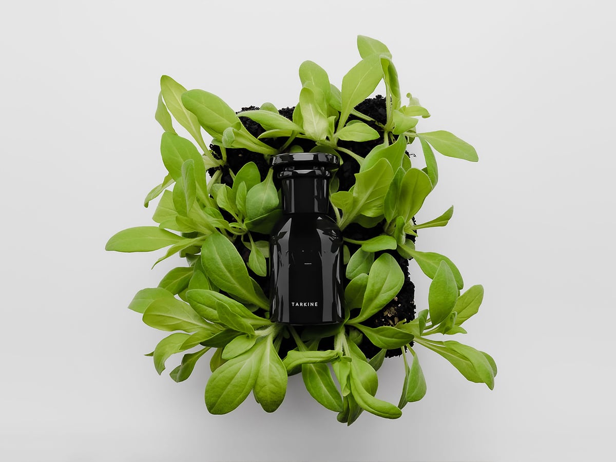 Tarkine Fragrance by Váhy | Image: Váhy