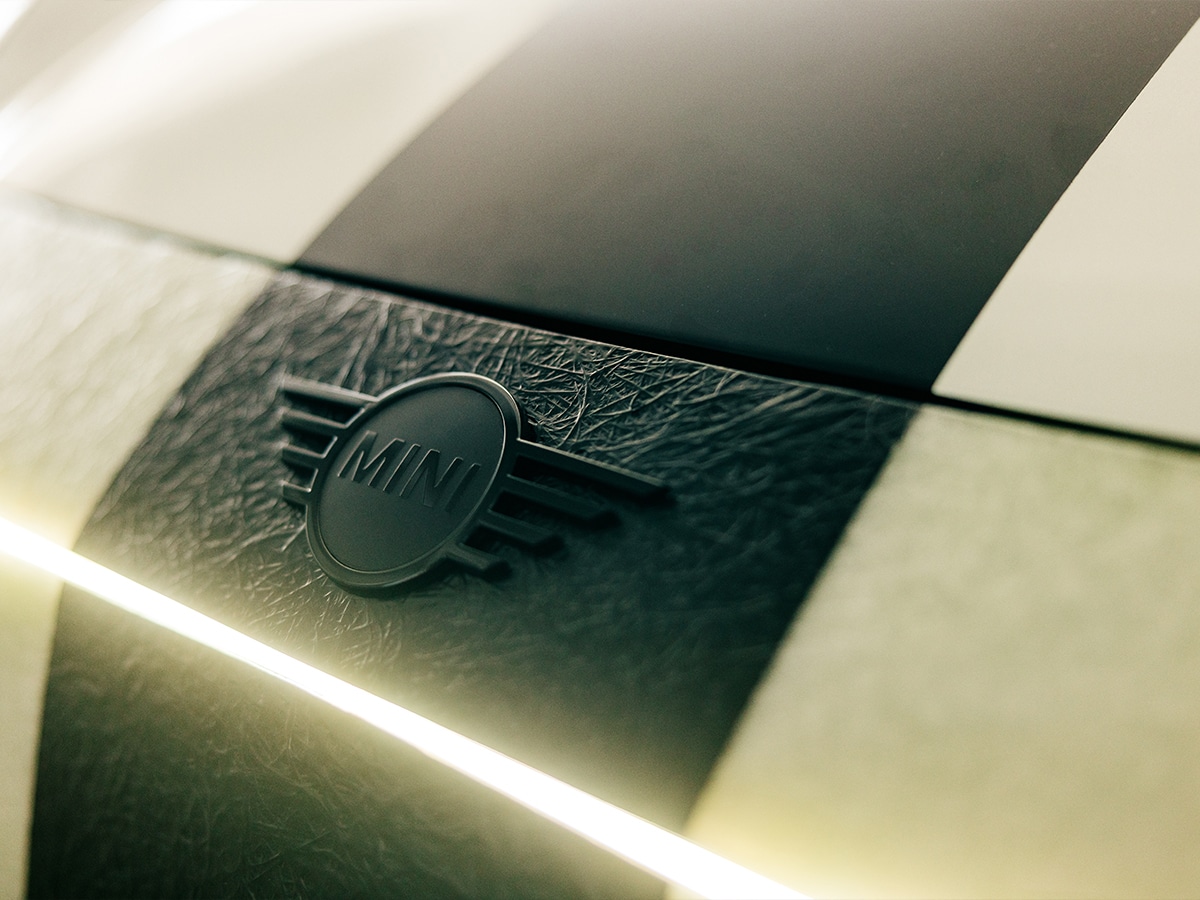 Mini jcw and deus ex machina the skeg detail 3