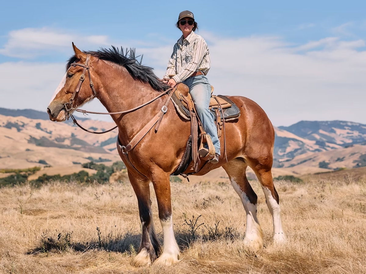 Covell ranch