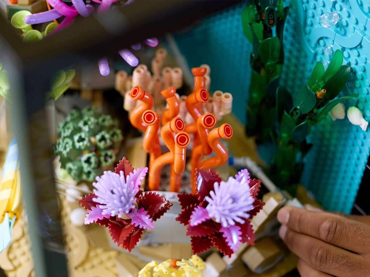 Lego tropical aquarium coral