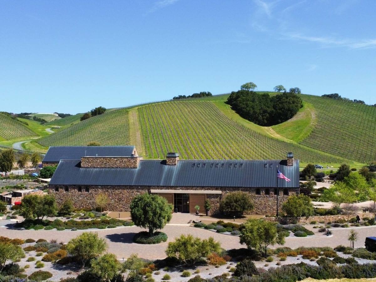 Niner winery