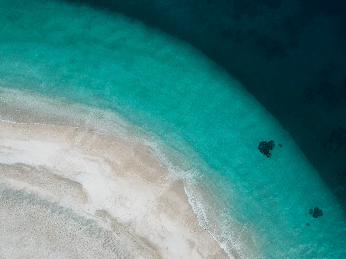 Fitzroy Island
