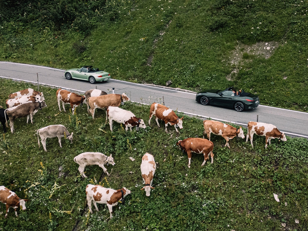 2026 bmw z4 final edition in alps 2