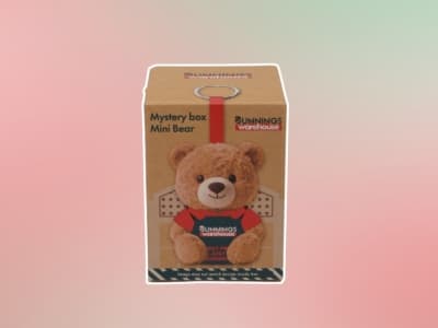 Bunnings Mystery Box Mini Bears are a $12.50 Labubu-Dupe Taking Over the Internet