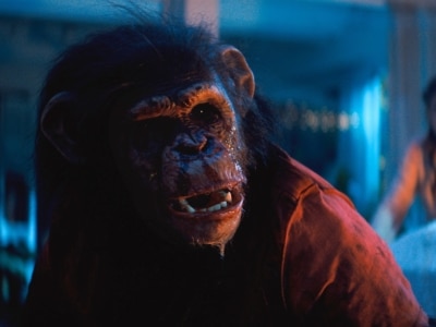 Review: ‘Primate’ is a Strong, Bloody Start to the 2026 Horror Calendar