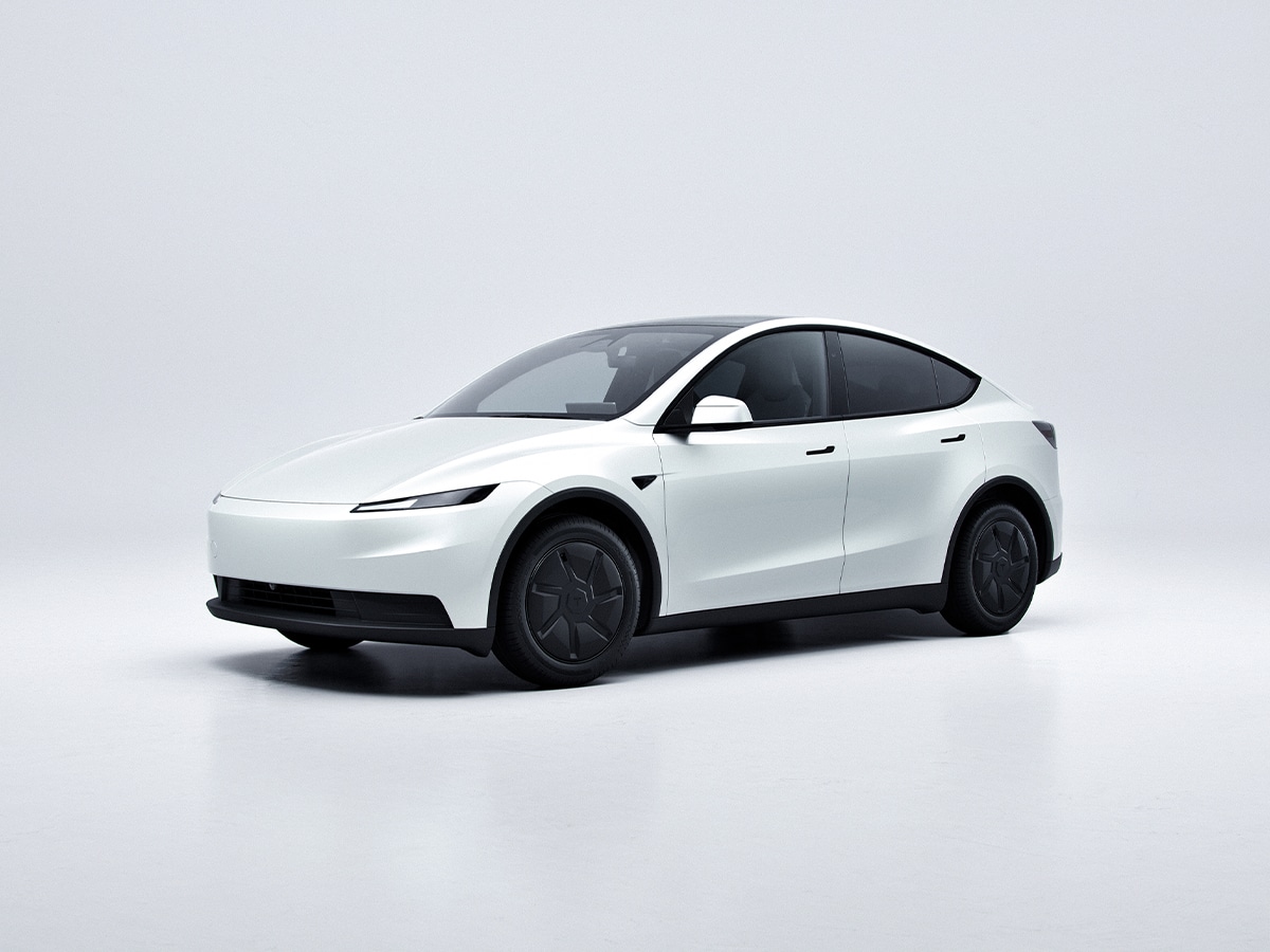 Entry level model y standard