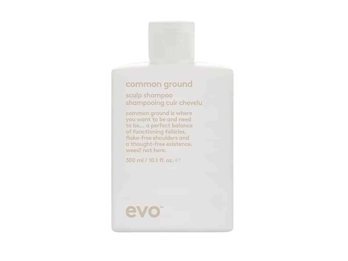 Curly hair care evo common ground