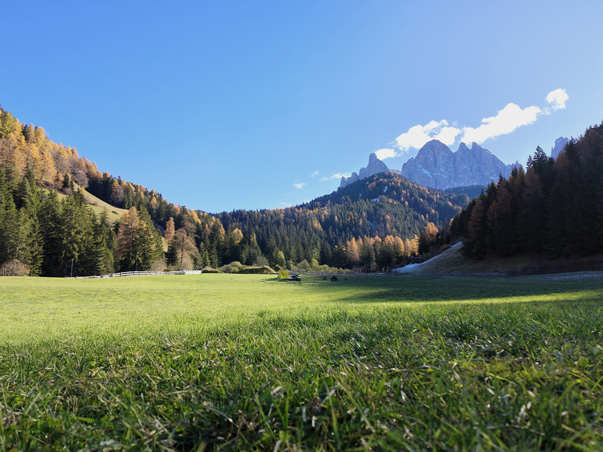 Dji osmo pocket 4 review 1