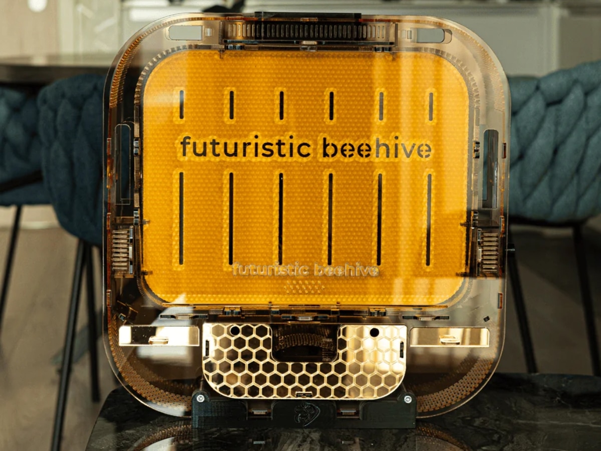 Futuristic Beehive "Symbiotic" Indoor Beehive | Image: Futuristic Beehive