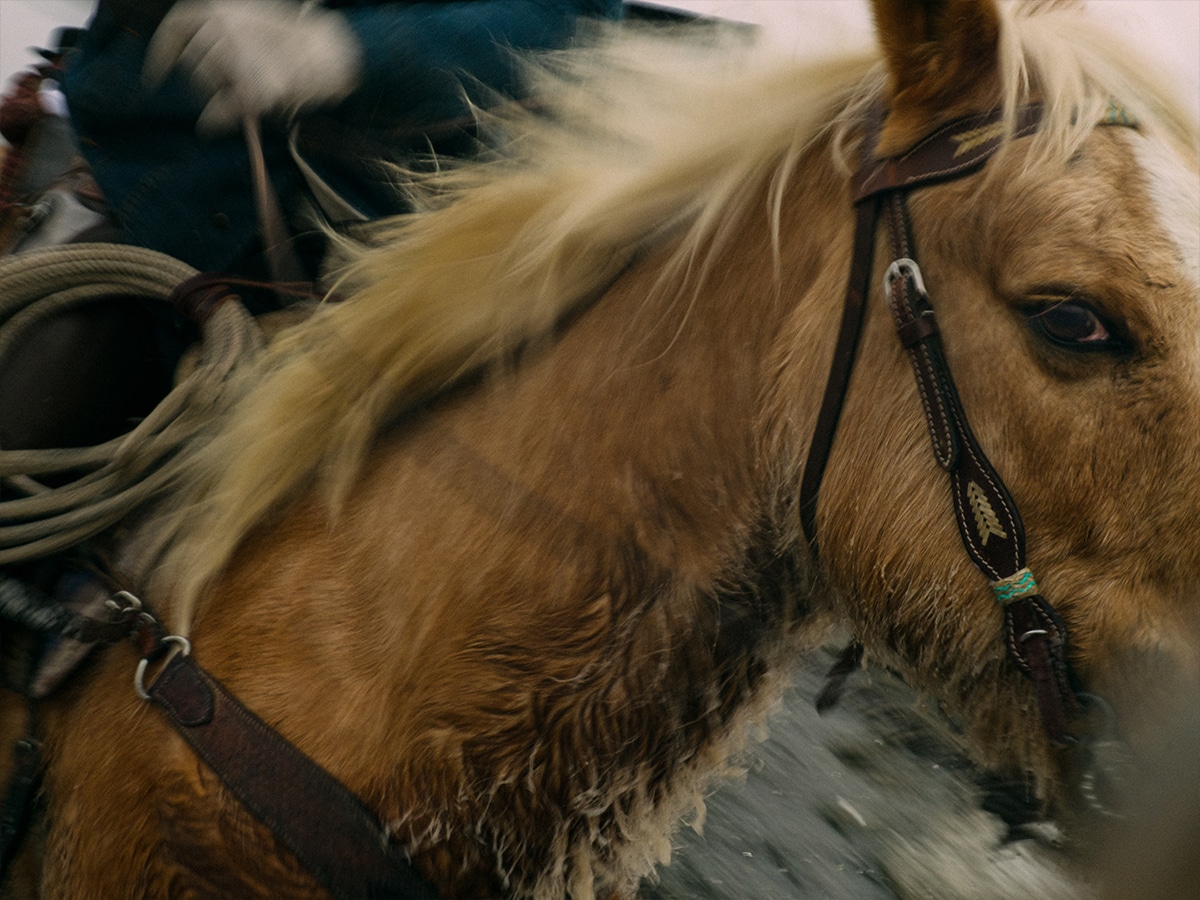 Gopro mission 1 pro photo example 3