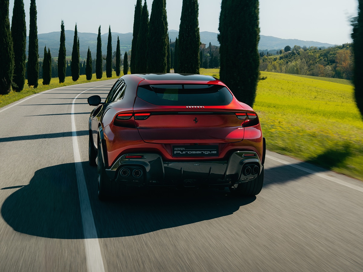 Ferrari purosangue handling speciale rear end on road