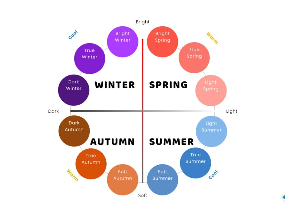 12 type seasonal colour analysis chart