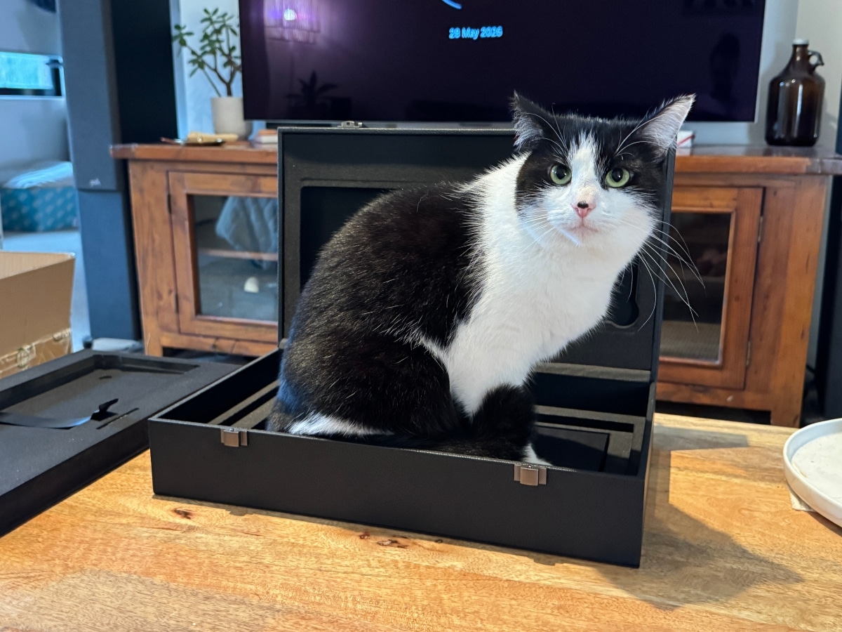 A black and white cat sitting inside the Razer Hunstman Signature Edition packaging