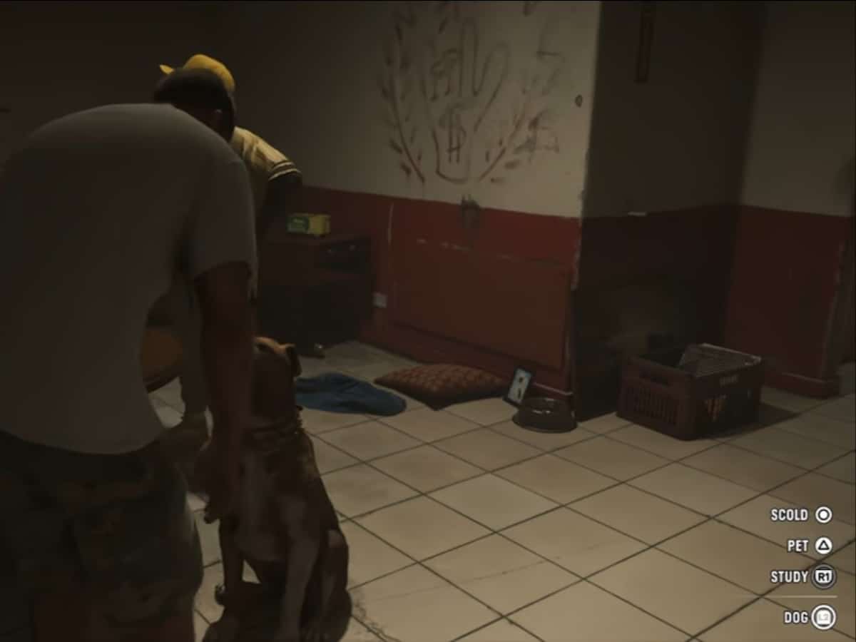 Gta 6 dog