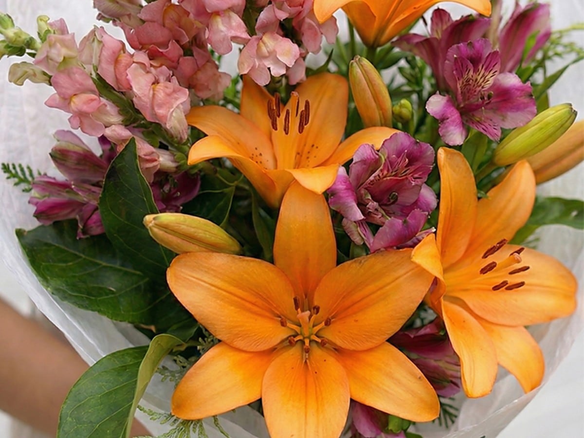 Lilies