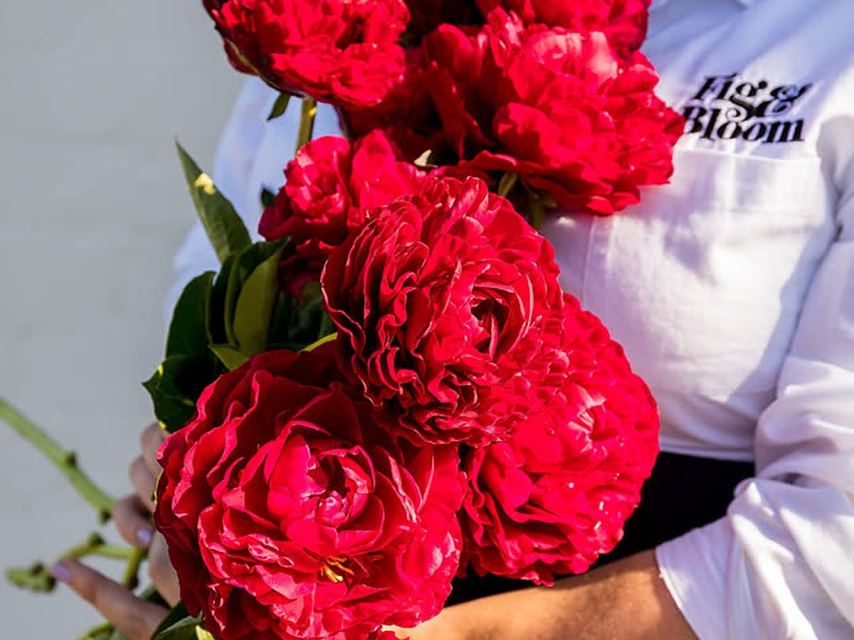 Peonies