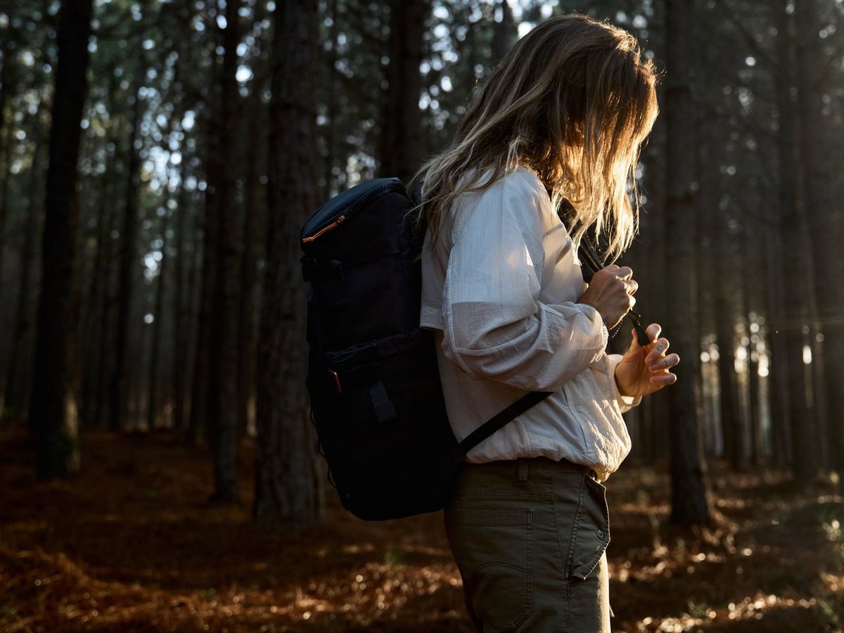 Dometic backpack worn on a golden hour walk through pine forest