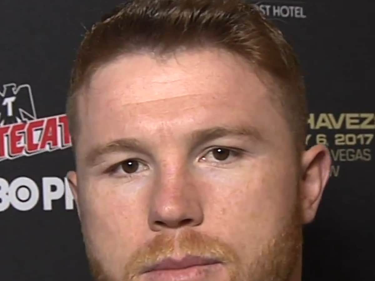 Canelo Alvarez, Boxing