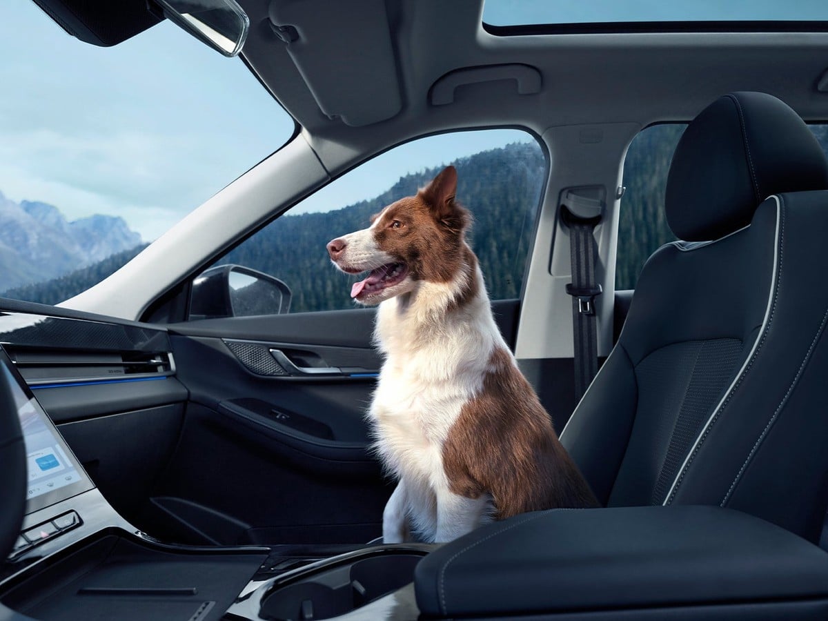 Dog sitting in the front passenger seat of the Jaecoo J5 SHS-H