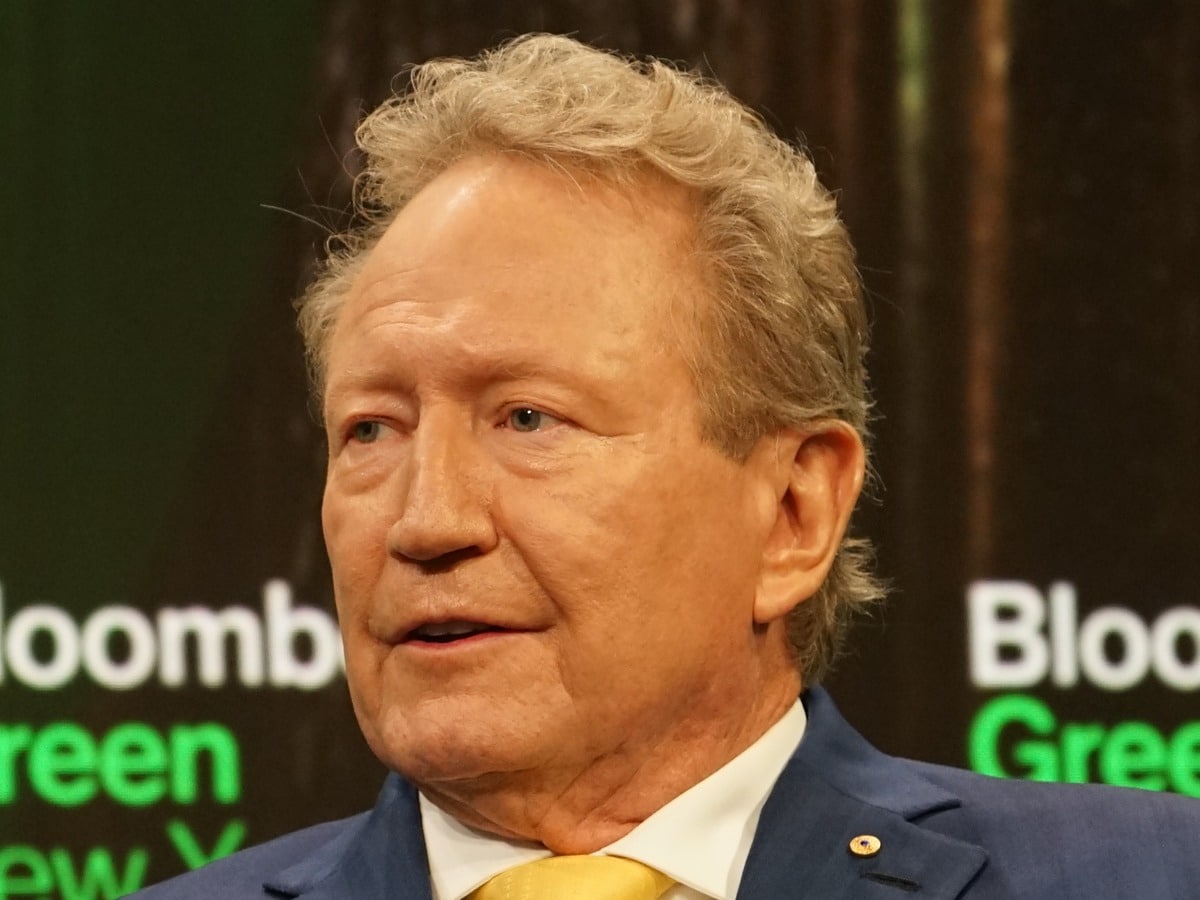 Andrew Forrest, Mining (iron ore; Fortescue Metals Group)